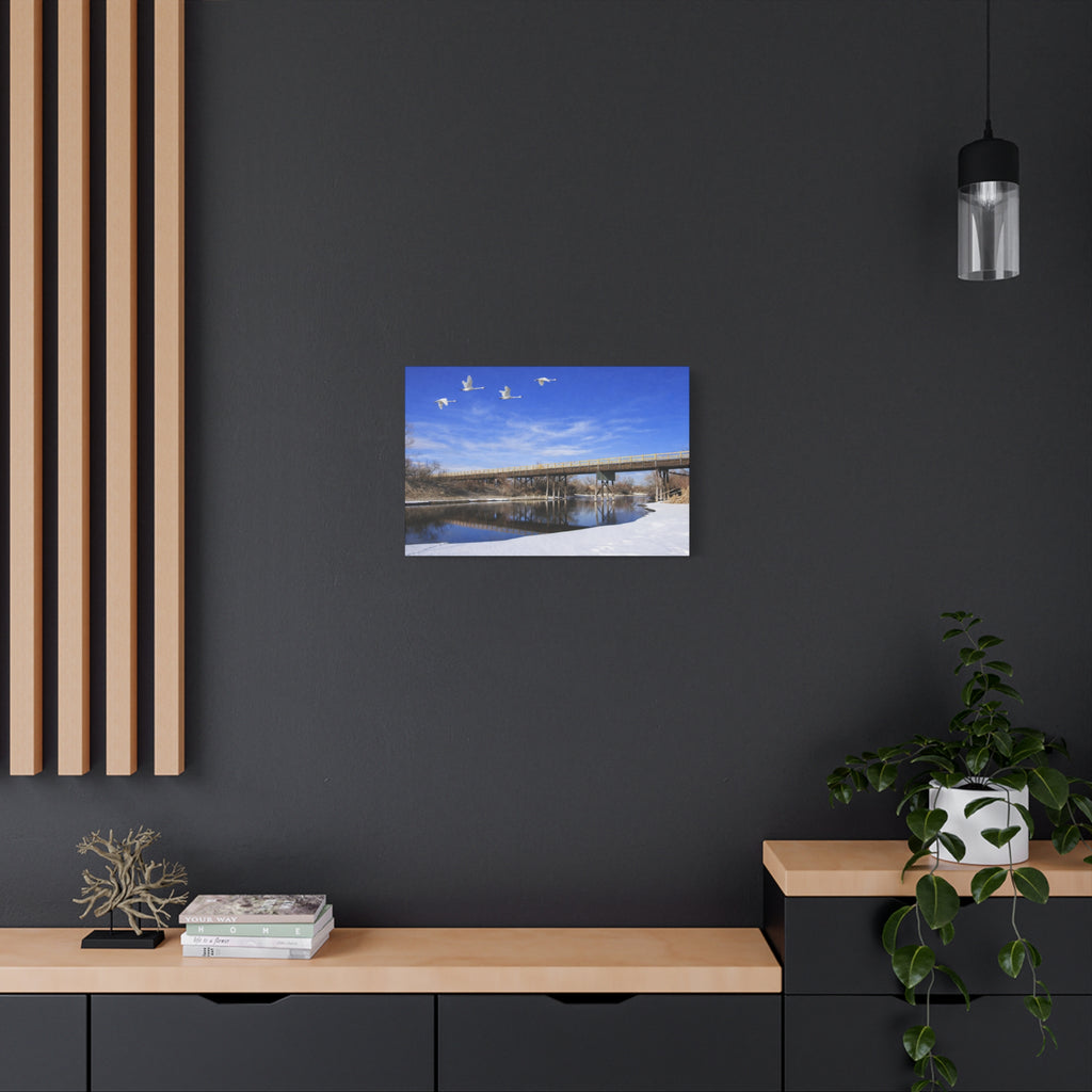 Jackson Bridge Matte Canvas, Stretched 1.25" - Scenic River & White Swans Wall Art - Customizable Nature Landscape Decor - 6 sizes