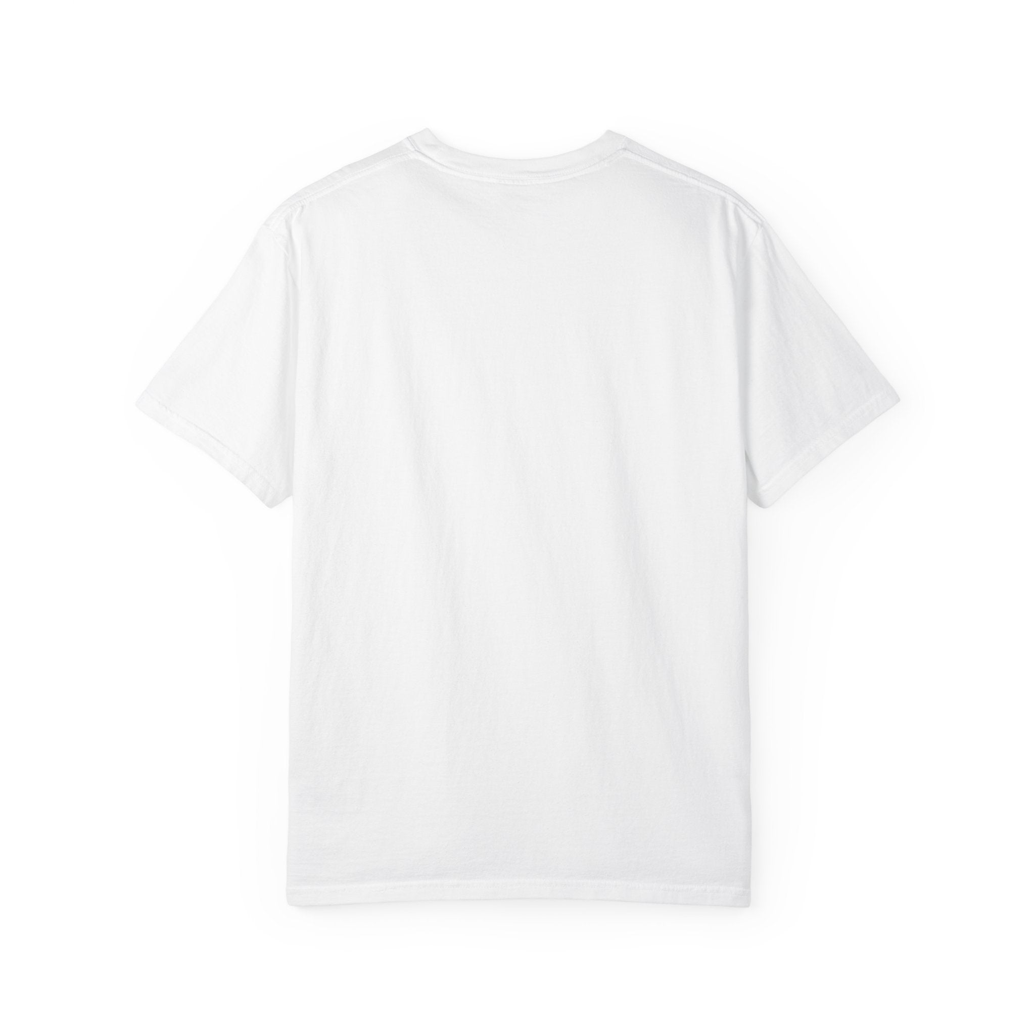 Hedera Hashgraph HBAR Crypto T-Shirt Web3 Blockchain Investor Tee Hedera Fan Merch Gift Idea 3 colors 100% cotton