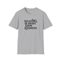 SatsandStripes.com Dream Big Be Brave Show Kindness Softstyle® T-Shirt Inspirational Positive Message Tee Grey