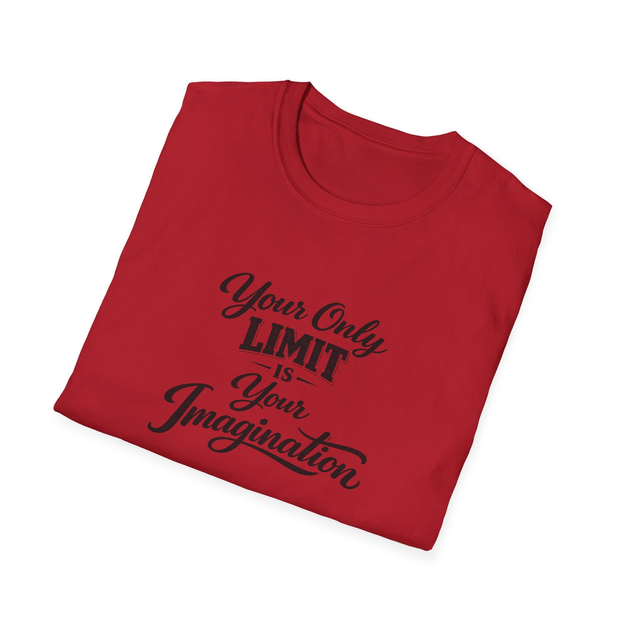 Your Only Limit Is Your Imagination Motivational Quote T-Shirt Inspirational Typography Tee 7 colors 100% cotton