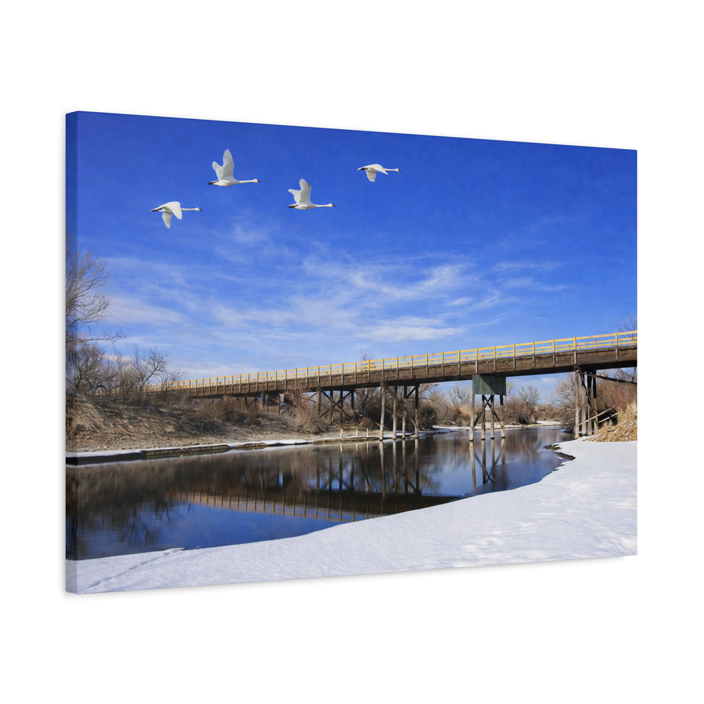Jackson Bridge Matte Canvas, Stretched 1.25" - Scenic River & White Swans Wall Art - Customizable Nature Landscape Decor - 6 sizes