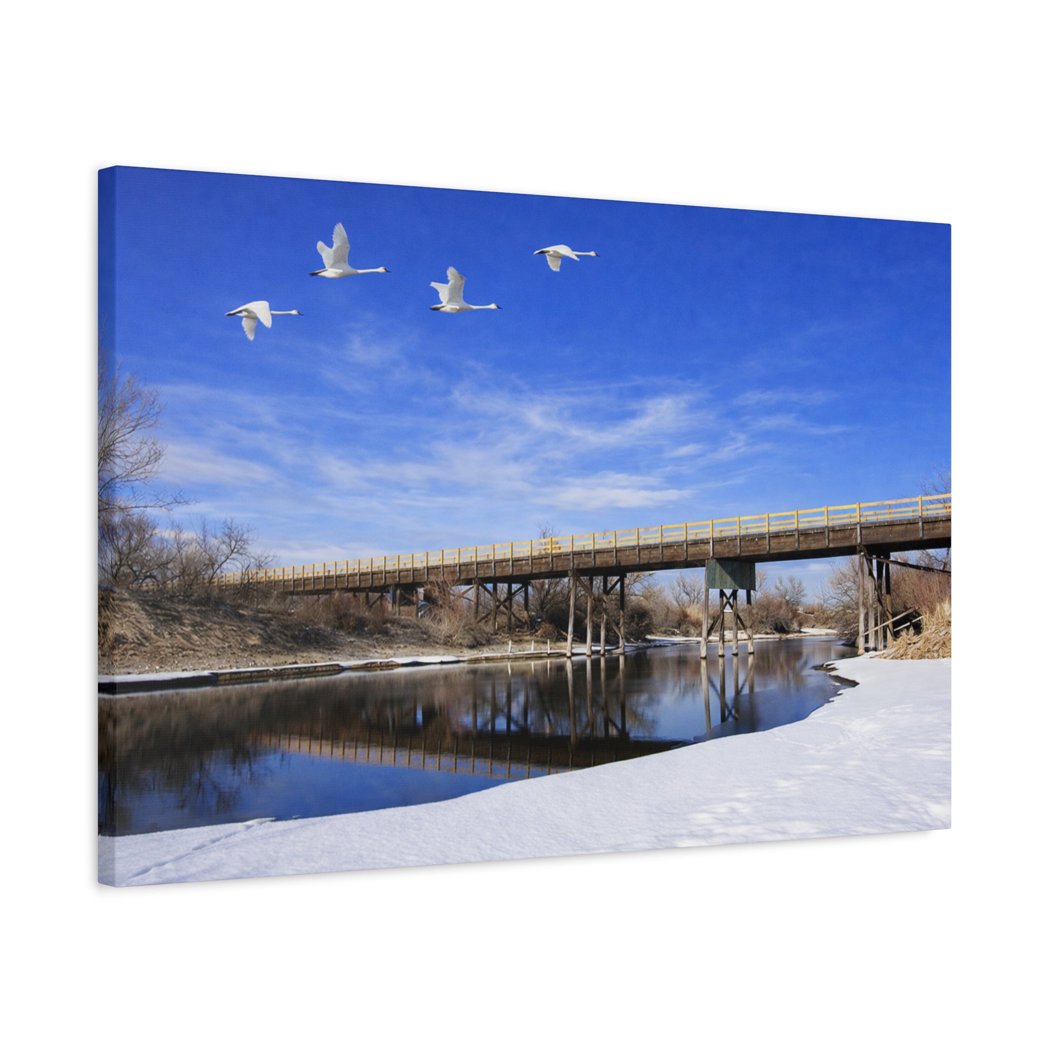Jackson Bridge Matte Canvas, Stretched 1.25" - Scenic River & White Swans Wall Art - Customizable Nature Landscape Decor - 6 sizes