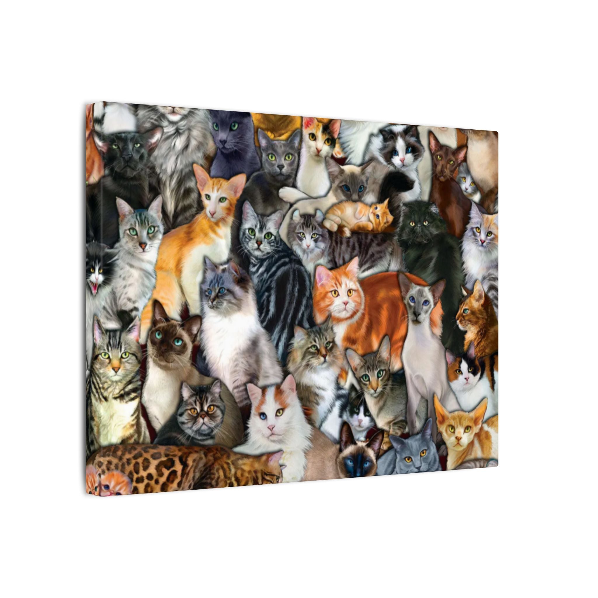 Cat Collage Canvas Wall Art Colorful Cat Breeds Canvas Print Cat Lover Gift Kitten Wall Decor Pet Lover Art 12" x 9"
